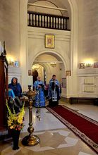 Подгорный